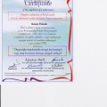 Powiększ obraz: certificate 16