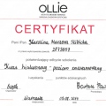 Powiększ obraz: certificate 19