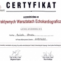 Powiększ obraz: certificate 4