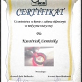 Powiększ obraz: certificate 31