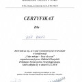 Powiększ obraz: certificate 6
