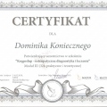 Powiększ obraz: certificate 3