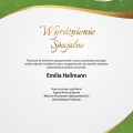 Powiększ obraz: certificate 11