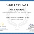 Powiększ obraz: certificate 24
