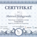 Powiększ obraz: certificate 20