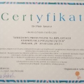 Powiększ obraz: certificate 11