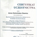 Powiększ obraz: certificate 15
