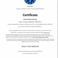 Powiększ obraz: certificate 8