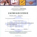 Powiększ obraz: certificate 37