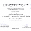 Powiększ obraz: certificate 1