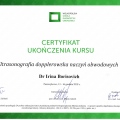 Powiększ obraz: certificate 20