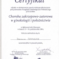 Powiększ obraz: certificate 47