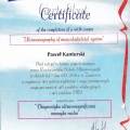 Powiększ obraz: certificate 3