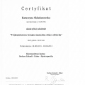 Powiększ obraz: certificate 2