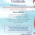 Powiększ obraz: certificate 3