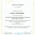 Powiększ obraz: certificate 1