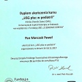 Powiększ obraz: certificate 5