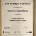 Powiększ obraz: certificate 11