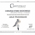 Powiększ obraz: certificate 7