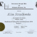 Powiększ obraz: certificate 33