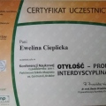 Powiększ obraz: certificate 7
