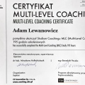 Powiększ obraz: certificate 10