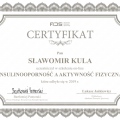 Powiększ obraz: certificate 8