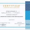 Powiększ obraz: certificate 3