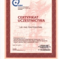 Powiększ obraz: certificate 11