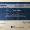 Powiększ obraz: certificate 9