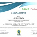 Powiększ obraz: certificate 8