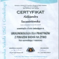 Powiększ obraz: certificate 7