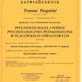 Powiększ obraz: certificate 9