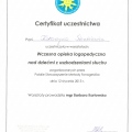 Powiększ obraz: certificate 36