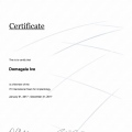 Powiększ obraz: certificate 1