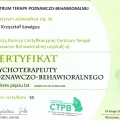 Powiększ obraz: certificate 2