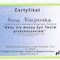 Powiększ obraz: certificate 16