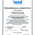 Powiększ obraz: certificate 2