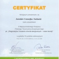 Powiększ obraz: certificate 9