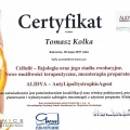 Powiększ obraz: certificate 28