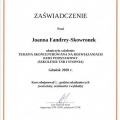 Powiększ obraz: certificate 20