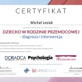 Powiększ obraz: certificate 20