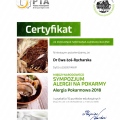 Powiększ obraz: certificate 5