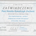 Powiększ obraz: certificate 8