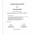 Powiększ obraz: certificate 6