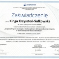 Powiększ obraz: certificate 9