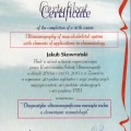 Powiększ obraz: certificate 11
