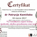 Powiększ obraz: certificate 7