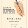 Powiększ obraz: certificate 31