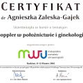 Powiększ obraz: certificate 13